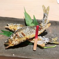 新ばし 星野 - 岐阜・馬瀬川の鮎