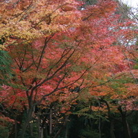 THE SODOH HIGASHIYAMA KYOTO - 