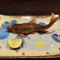 日本料理 丸しま - 