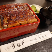 満寿家 - うな重特上