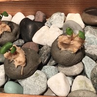ルカンケ - 