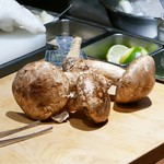 コントワール フー - 