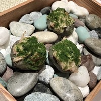 ルカンケ - 