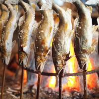 柳家 - 馬瀬川と高原川の鮎