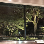 アルカナイズ - 