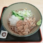 Hakone Soba - 冷やし肉おろしそは