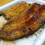 鈴木川魚店 - 鰻弁当　上