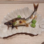 綾小路 唐津 - 木津川天然鮎