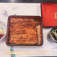 鰻割烹 伊豆栄 本店 - うな重(竹)