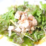 Bar Amici - 本日のサラダ