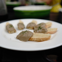 フォリオリーナ・デッラ・ポルタ・フォルトゥーナ - 