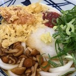 丸亀製麺 - 具材盛りだくさん(2019.7.17)