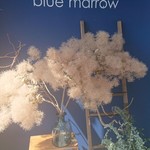 blue marrow - 【入口】
            エントランスからドライフラワーがいっぱい。
            この日はスモークツリーかな？