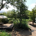 サリーガーデン - 