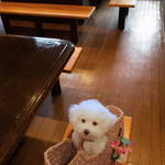 旬采 - バスケットに入って・・