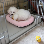 旬采 - 帰宅後自分のベッドに運んで