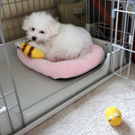 旬采 - 嬉しそうに噛み噛み〜♬