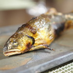 かたつむり - 和良川の鮎
