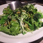 ALBERO - 「野菜の４分類が入ったグリーンサラダスタイル」（880円）