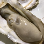 ビストロ ティアボ - 