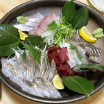 四国三郎 よしの川 - 刺身盛り合わせ