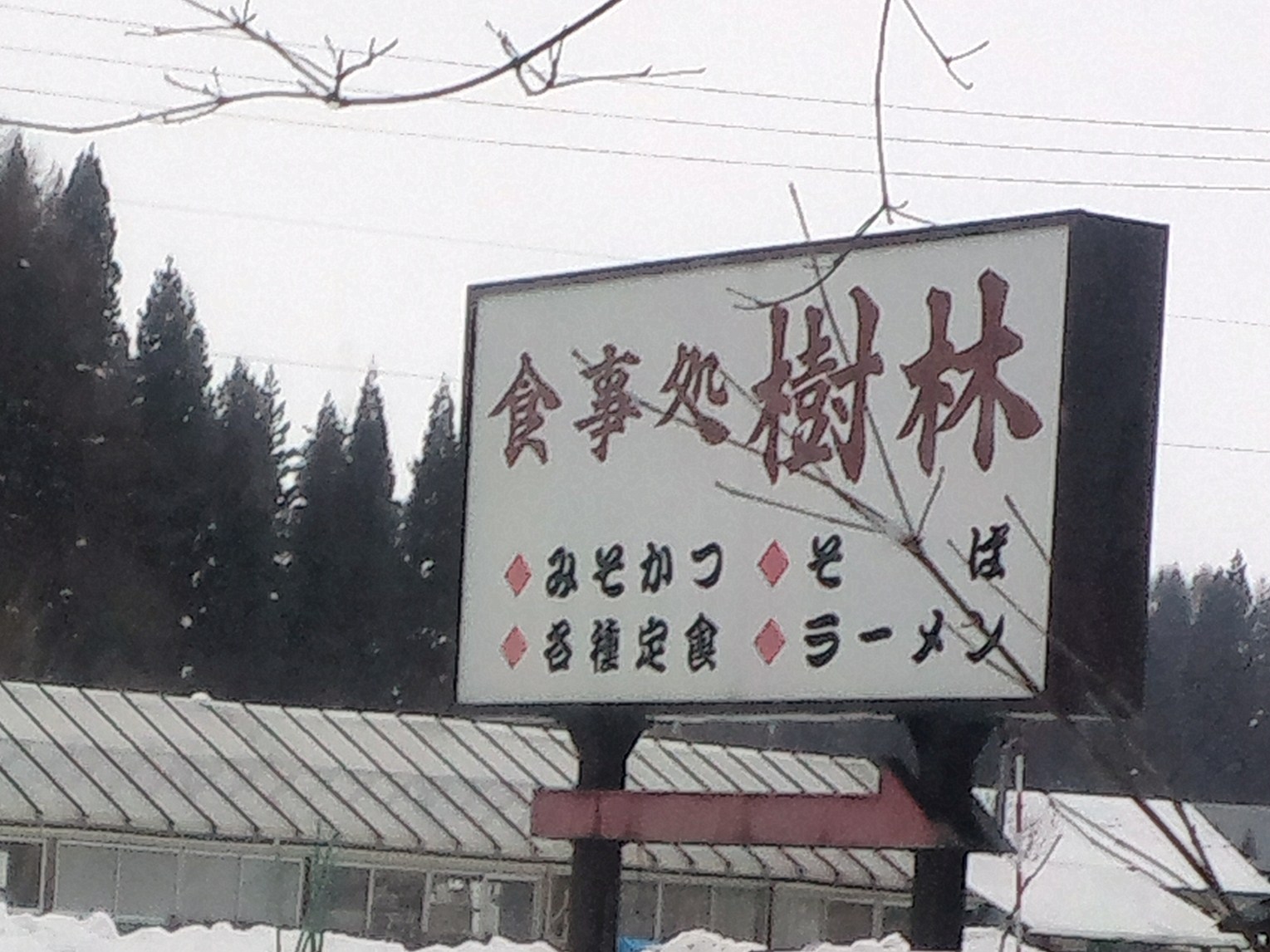 樹林 name=