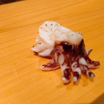鮨 尚充 - スミイカの赤ちゃんの下足