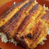 吉寅 - 