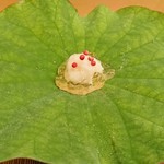 馬車道 大かわ - 白海老と帆立のタルタル