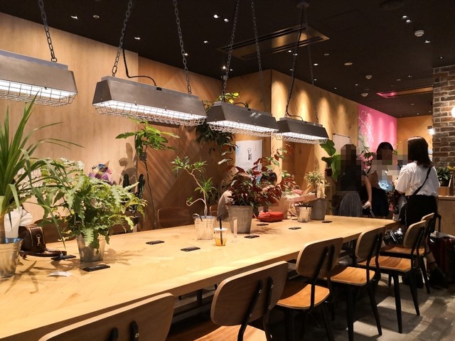 閉店 タピチ ティースタンド 心斎橋オーパきれい館店 Tapici 心斎橋 スイーツ その他 食べログ 閉店 タピチ ティースタンド 心斎橋オーパきれい館店 Tapici 心斎橋 スイーツ その他 食べログ