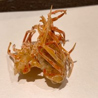 天ぷらあら木 - 海老頭アップ