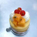 112961520 - エキゾチックピスターシユ