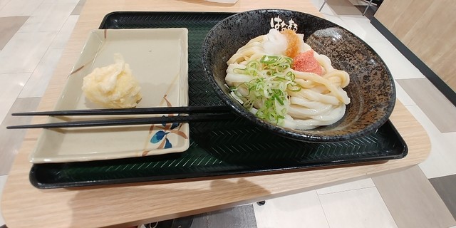 はなまるうどん イオン仙台店 - あおば通（うどん）の写真