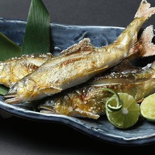 鮮菜居酒屋 とだ屋_0