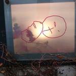 エグ・ヴィヴ - 