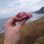 エグ・ヴィヴ - 