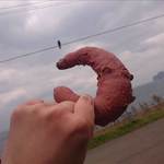 エグ・ヴィヴ - 