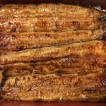 鰻はし本 - 鰻重