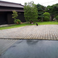 ル・ニコ・ア・オーミナミ - 