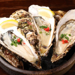 Raw oysters with shell