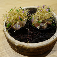 LURRA° - 海苔のトスターダ、野母んあじと白昆布