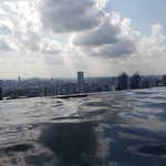 MARINA BAY SANDS - 屋上のプール
