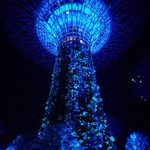 MARINA BAY SANDS - ガーデンズバイザベイ