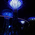 MARINA BAY SANDS - 綺麗
