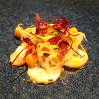 イル ネッビオ - 水ダコとひよこ豆のカルパッチョ仕立て、からすみ風味