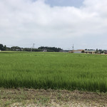 カフェ チャム - お店の周りはこのような
      田園風景(^^)