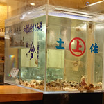 Shunsai Sakana To Sake Takumikakurega - 店内にある水槽