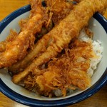 Tendon Tenya - 海老・穴子・烏賊・オクラ