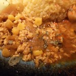 スパイスジャーニー ハイカレ - スパイシーキーマカレー。