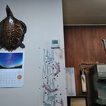 亀の家食堂 - 亀の家だけに、亀の剥製